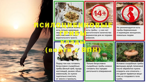 ГАЛЛЮЦИНОГЕННЫЕ ГРИБЫ Абинск