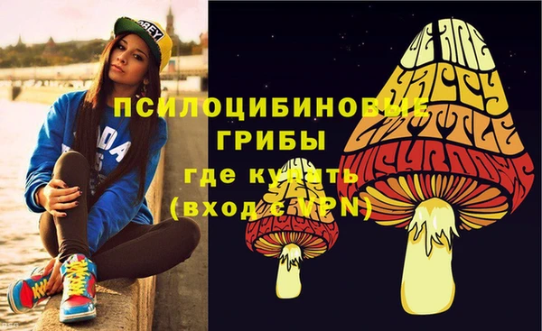 ГАЛЛЮЦИНОГЕННЫЕ ГРИБЫ Абинск